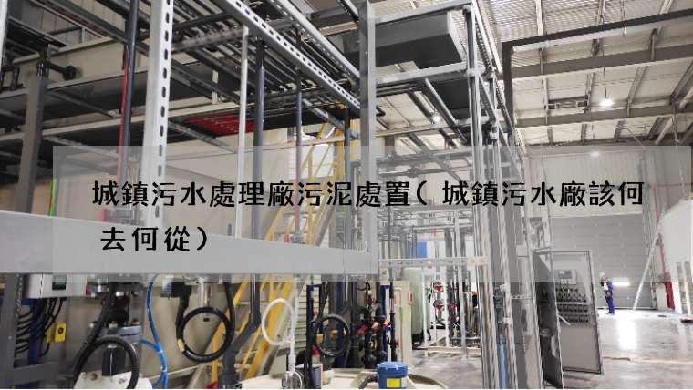 城鎮污水處理廠污泥處置(城鎮污水廠該何去何從)
